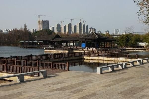 洋湖湿地公园旅游指南，亮点与特色景点