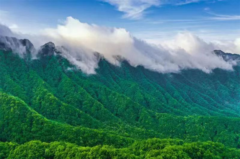 光雾山亲子游，家庭欢乐之旅的完美选择