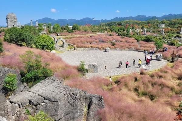 叠石花谷何时开花?一年四季有无常,了解这座山谷的花卉秘密!