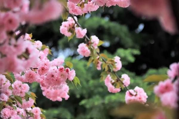 从西安到周至秦岭终南山一日游,杨凌农业科技博览会的行程规划