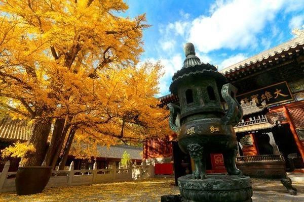 红螺寺门票怎么购买?