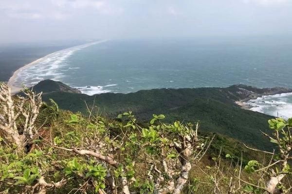 东郊椰林赶海好去处，热带风情尽收眼底