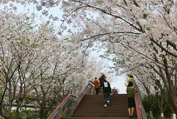 春游通州,四时画卷描绘四季之美的美妙之旅