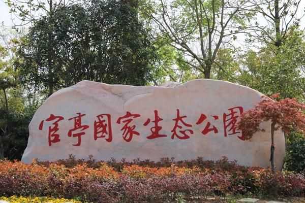 合肥西县赏花指南，春季的美不胜收之地