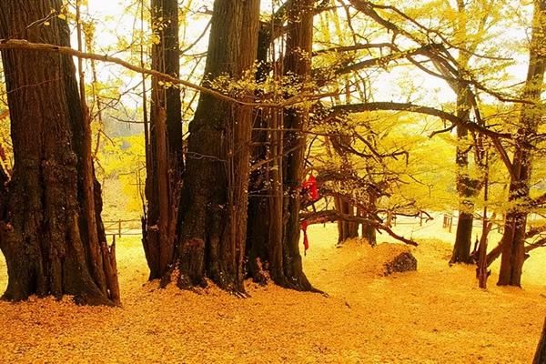 旅游攻略贵州有哪些风景名胜区?推荐你去的10个必游之处!