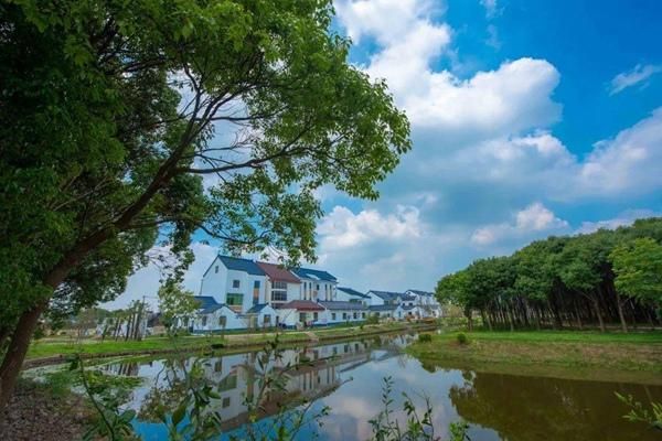 金山漕泾郊野公园入场指南及交通游玩攻略