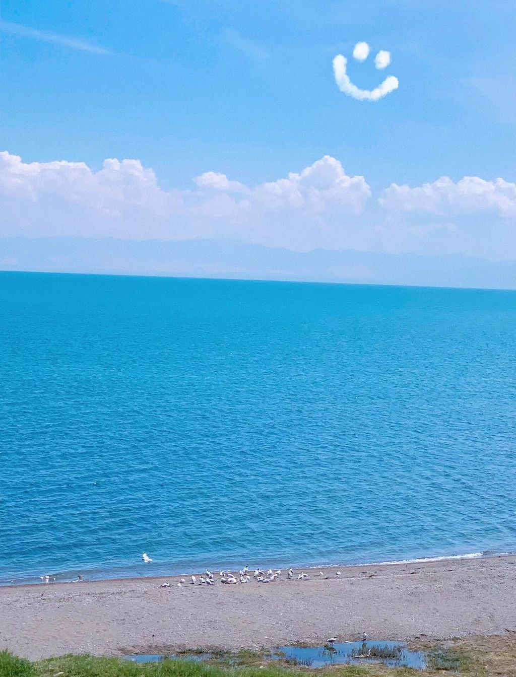 人间仙境，神秘的青海湖畔——美丽的自然风光与文化风情