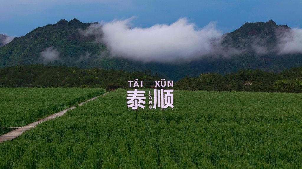 美丽的风景与宜人的气候，泰顺县五日养生之旅推荐