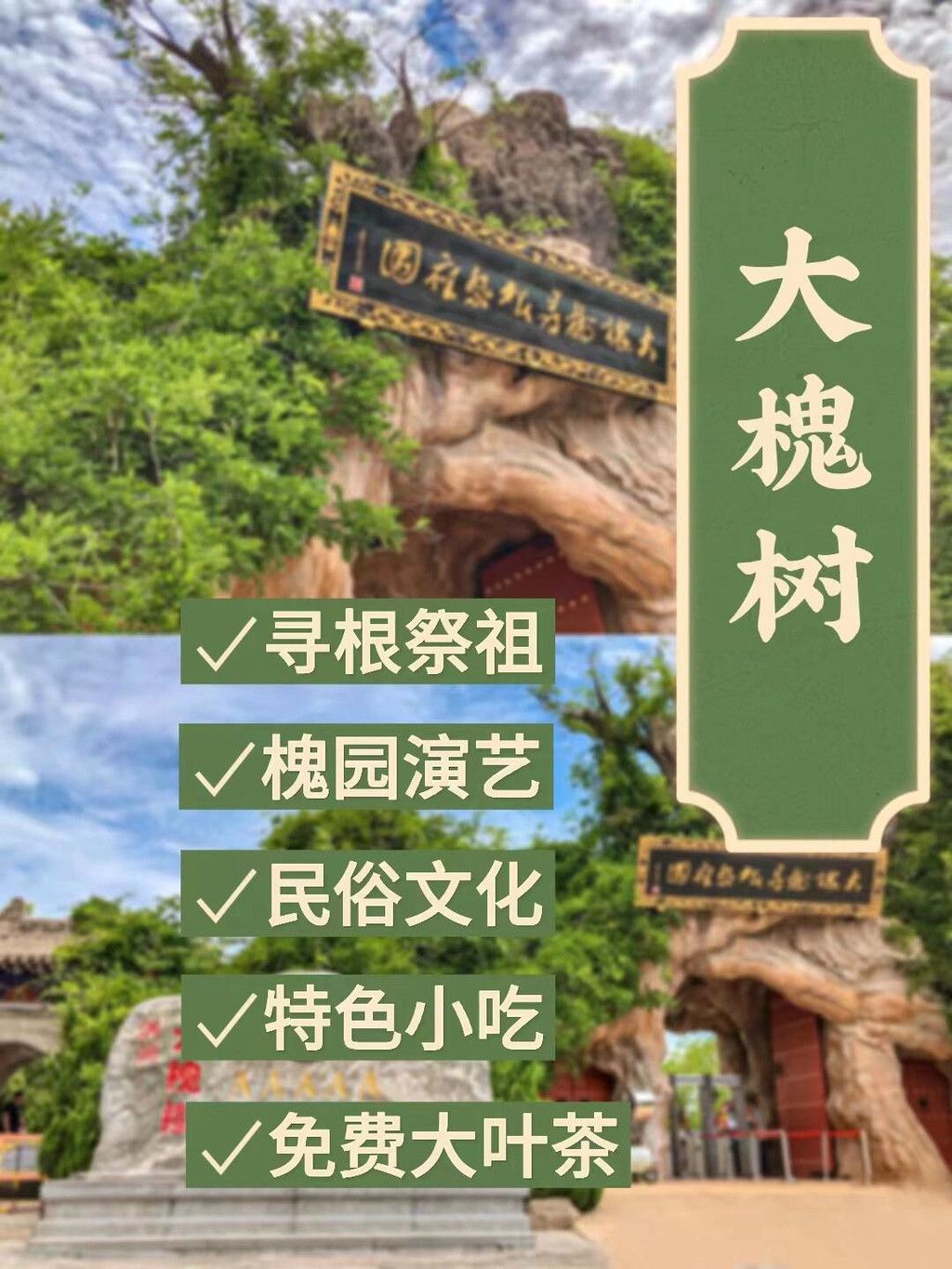 山西洪洞大槐树，寻根之旅的历史与文化意义