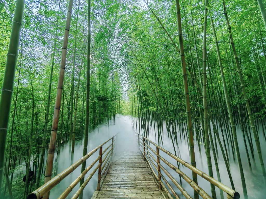 云南旅游推荐，峨眉山玉竹峰海风景区