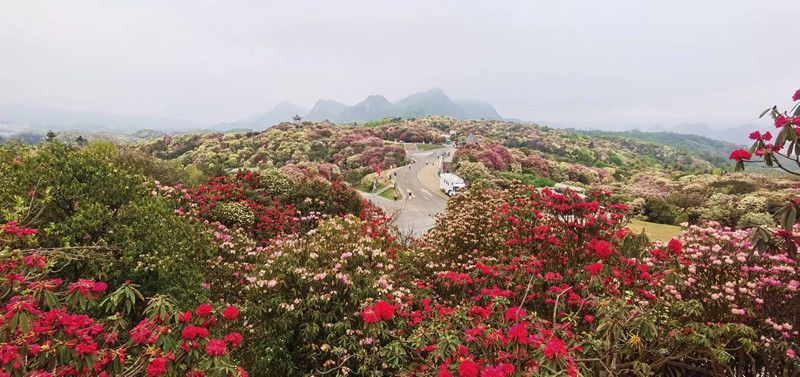 自由行4月 - 贵州之旅，从成都出发