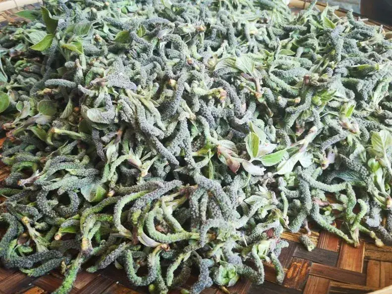 冬日暖阳下的腾冲之行,体验云南春天的独特韵味