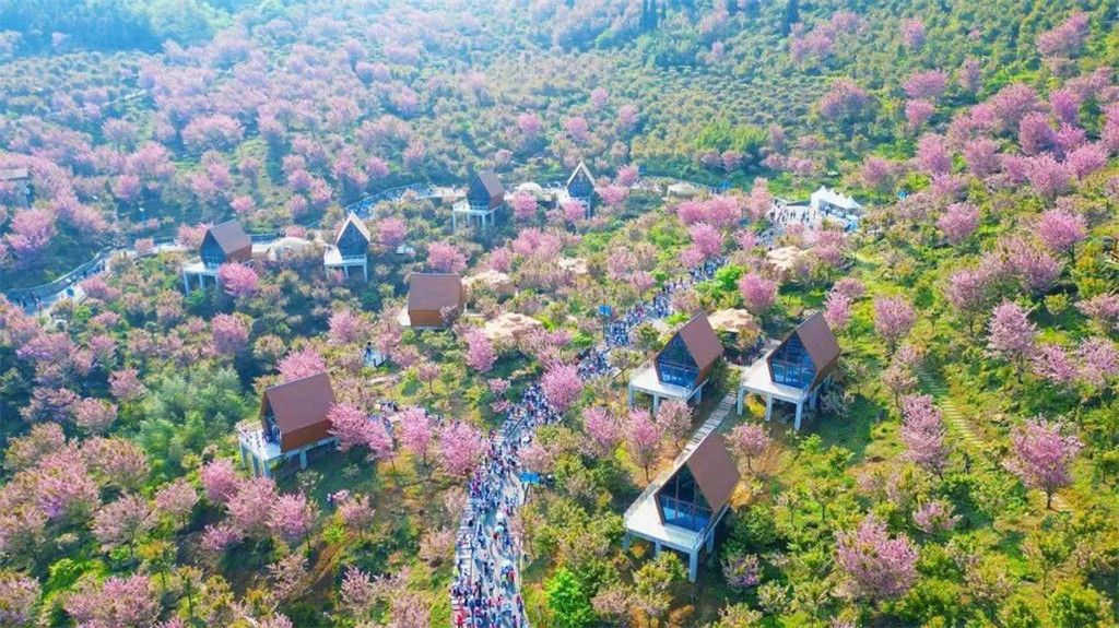 汶川重启春季旅游，吹暖春天的乡村旅游新模式
