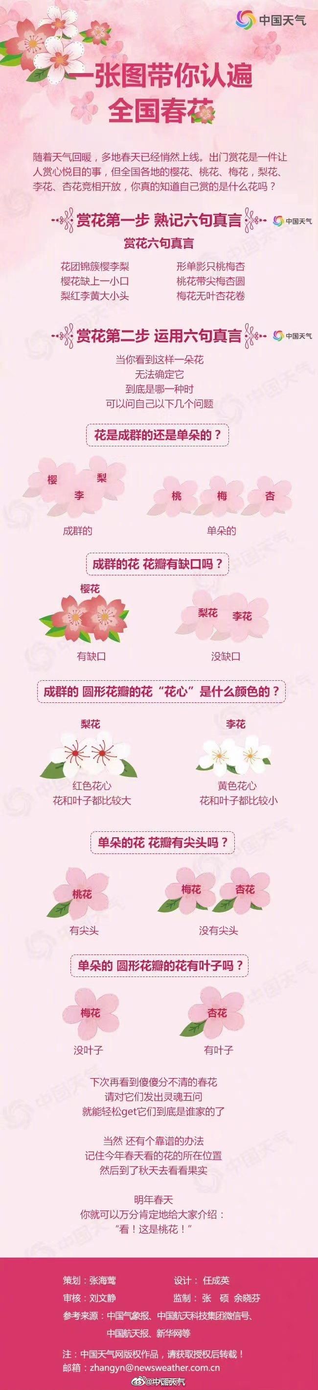 全国各地春天花卉品种大集合，让你一目了然！