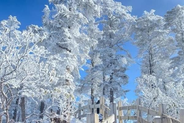 2022年12月成都文旅消费券如何领取？