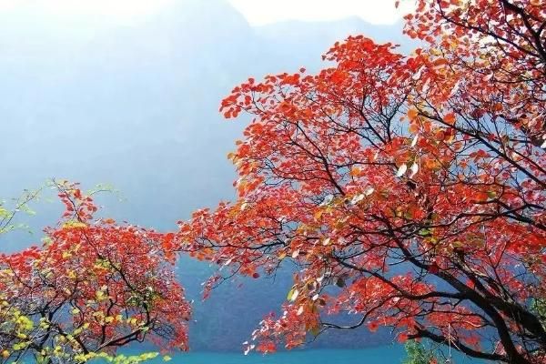 2023重庆巫山红叶节详细行程安排与门票价格一览