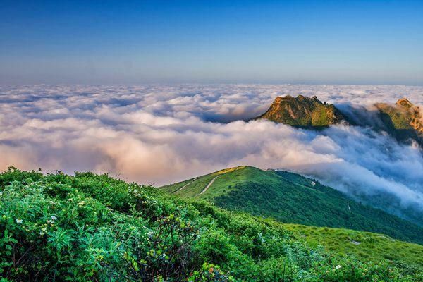 夏日探访秦岭，仙境般的雨后云海