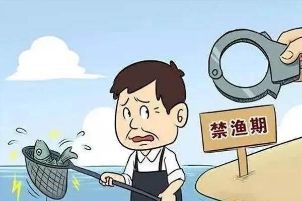 2022年四川禁捕期什么时候开始？有哪些时间段需要禁止捕鱼呢？