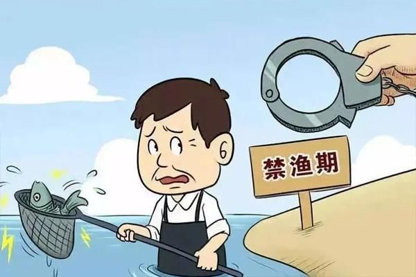 2022年吉林全省禁渔期新规定，什么时候开始？