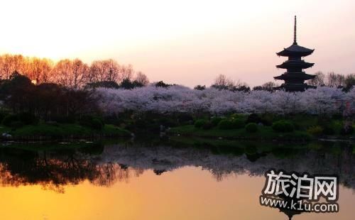 磨山景区门票信息及游玩指南