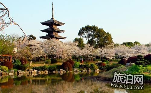 磨山景区门票信息及游玩指南