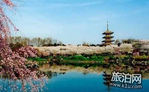 磨山景区门票信息及游玩指南
