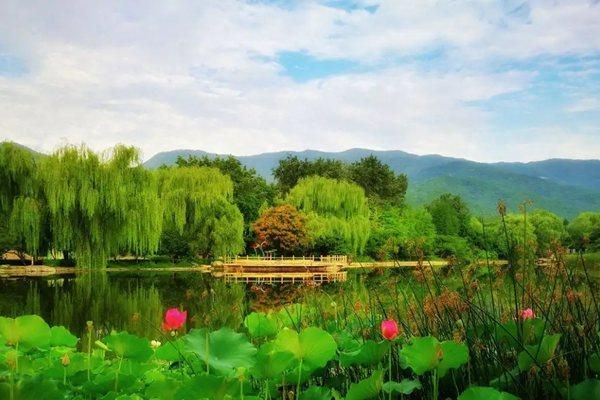 多了一个旅游好去处，正式揭牌的国家植物园