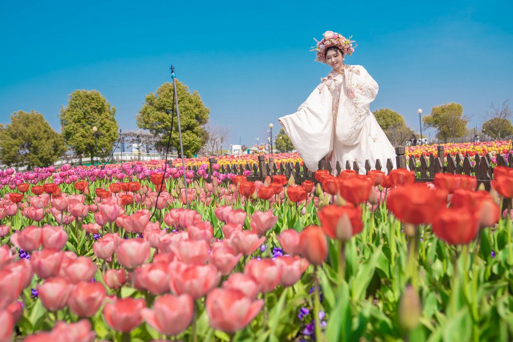 盐城市中春天赏樱、花卉与美食的独特旅行体验