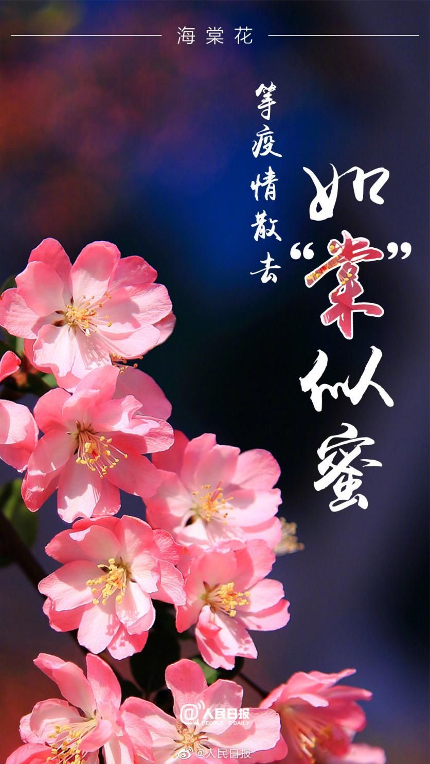 抗疫情,携手共筑的花语海报艺术展