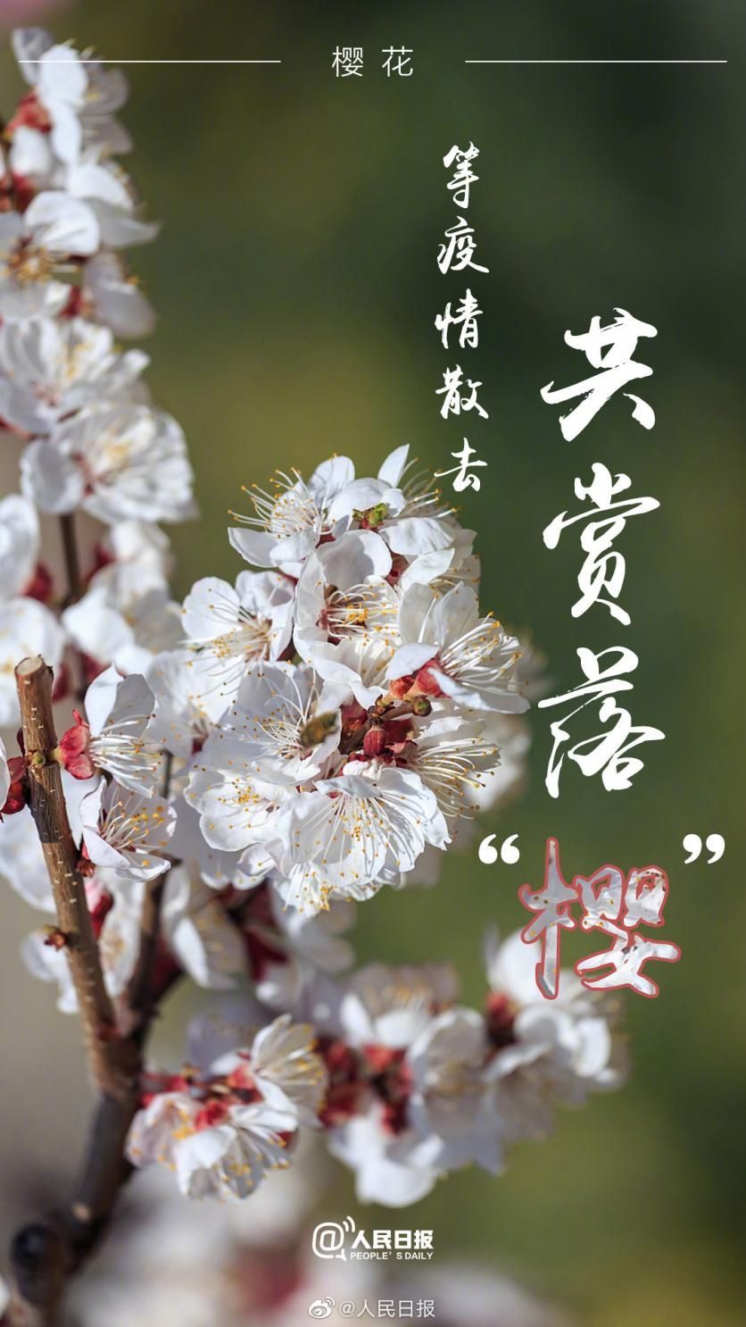 抗疫情,携手共筑的花语海报艺术展