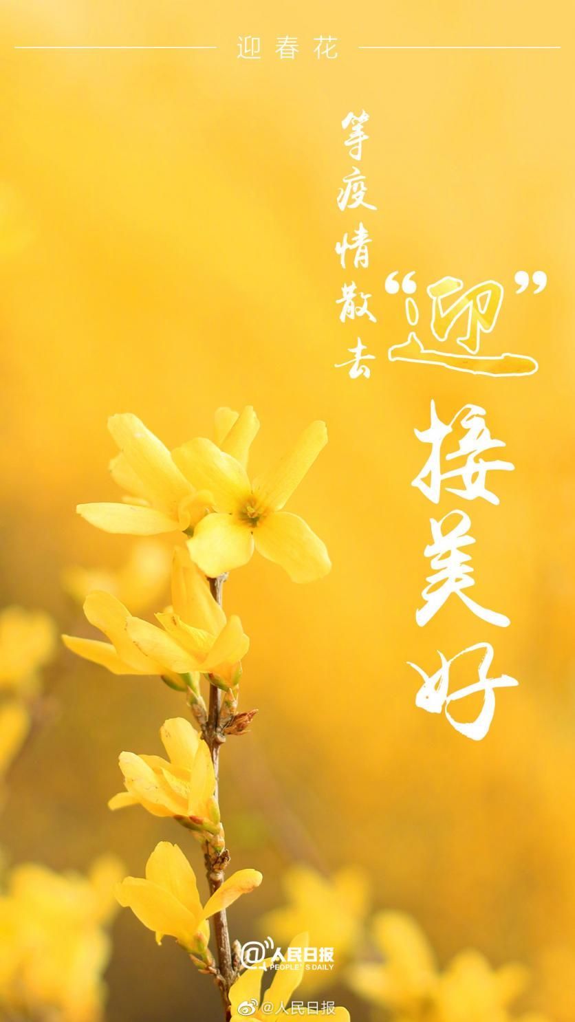 抗疫情,携手共筑的花语海报艺术展