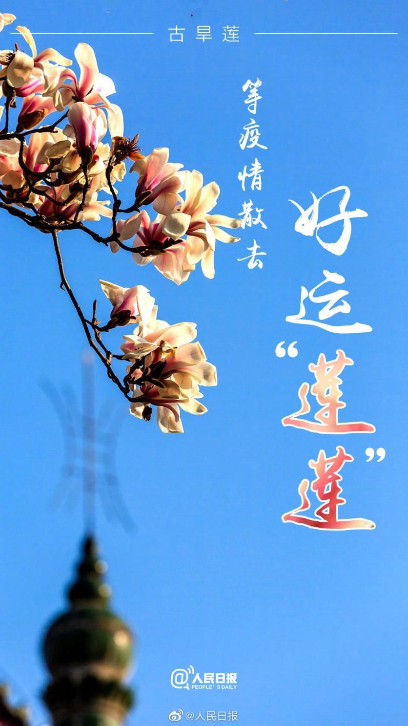 抗疫情,携手共筑的花语海报艺术展