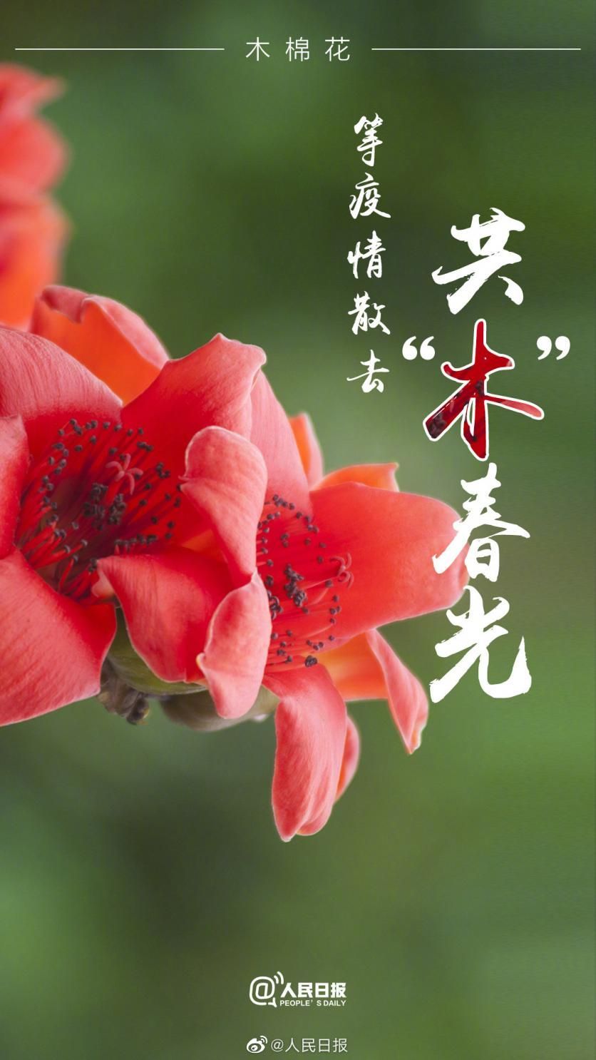 抗疫情,携手共筑的花语海报艺术展