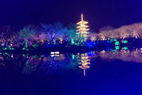 武汉东湖樱花园夜场开放时间和详细信息查询指南