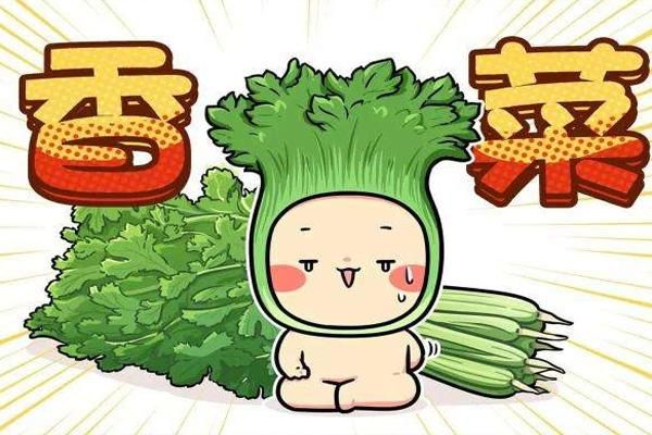 全球皆厌，为何有些人对香菜如此敏感?