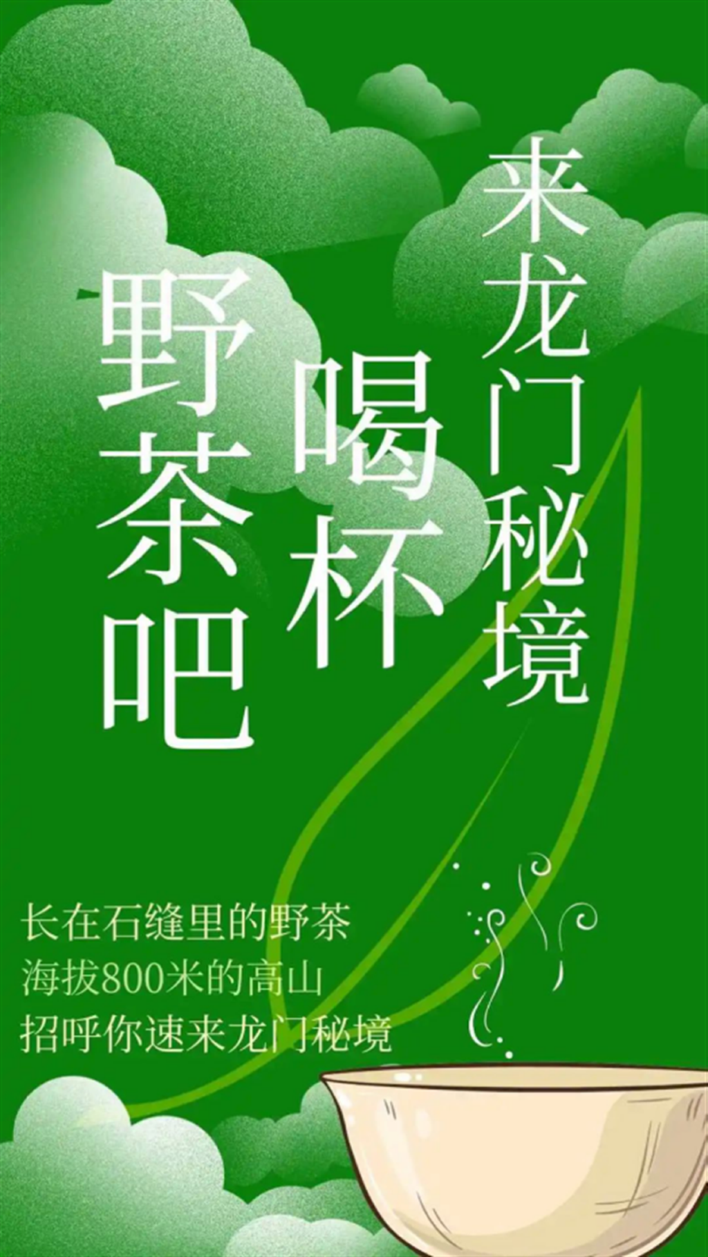 龙门秘境品尝石缝野茶的独特韵味