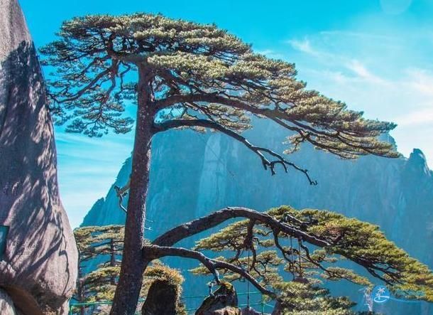 冬季游玩黄山，如何确保旅途安全？这份指南要分享给你