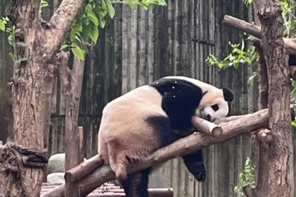 2021中秋热门旅游城市排行榜，满足你对假期的所有期待