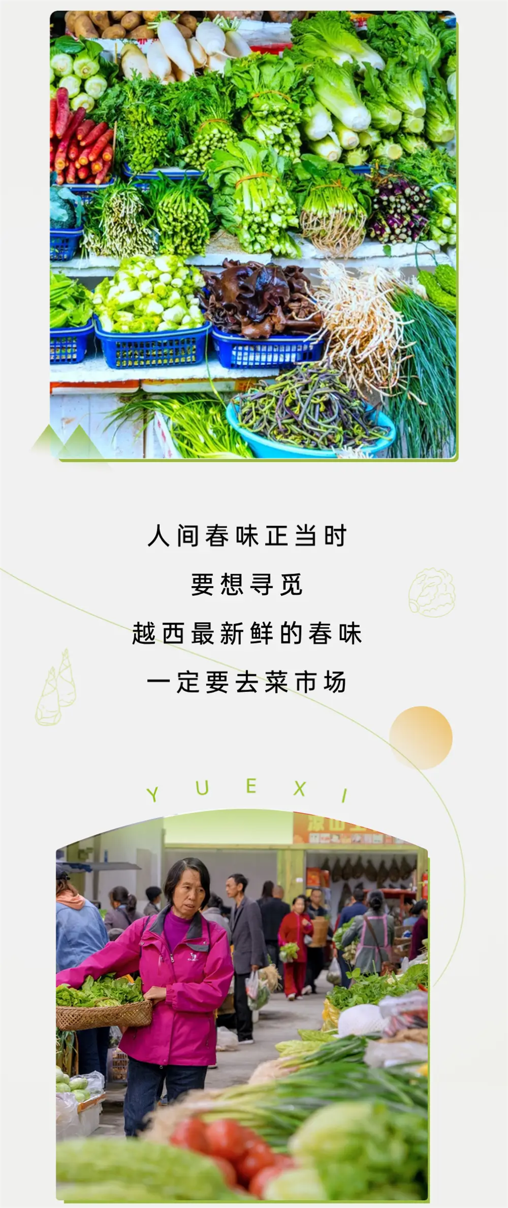 越西美食盛宴,品味鲜美原生态美食的魅力