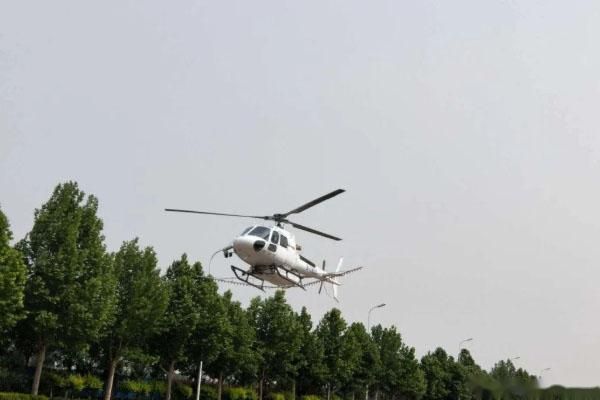 芝罘区2021年飞机喷洒松树药时间及区域公告发布通知