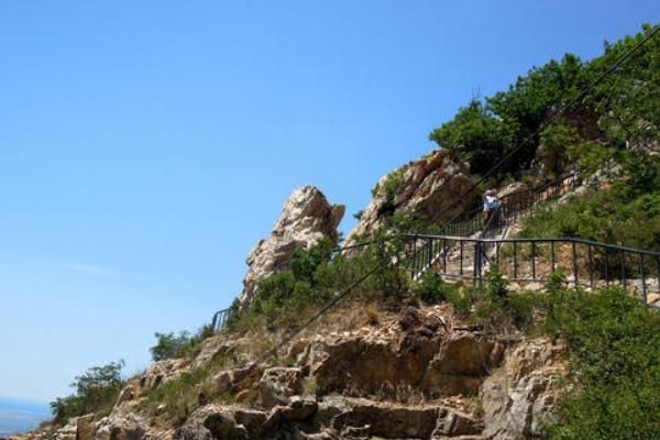 2021大连大黑山杜鹃花开花时间指南