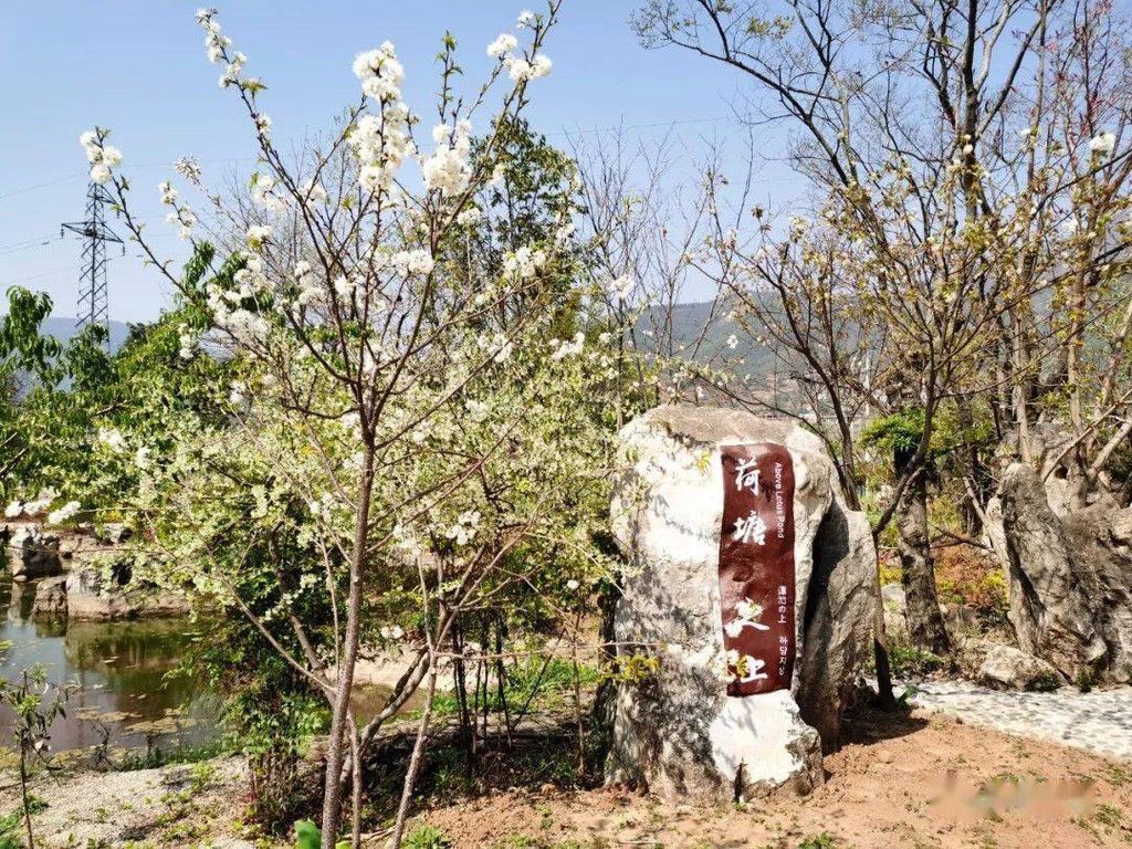 流觞花园，春天的独特韵味与风情探秘