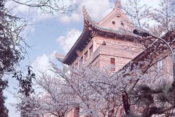 湖北春赏花线路推荐，十大景点，各有特色