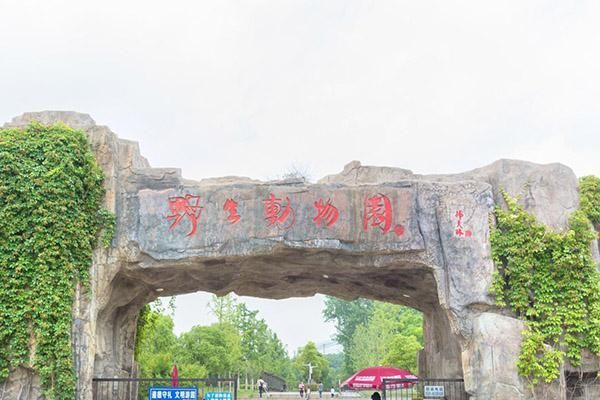 2021年合肥野生动物园门票预约指南