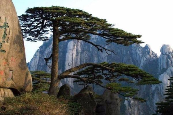 黄山风景区暂停关闭期间临时开放公告