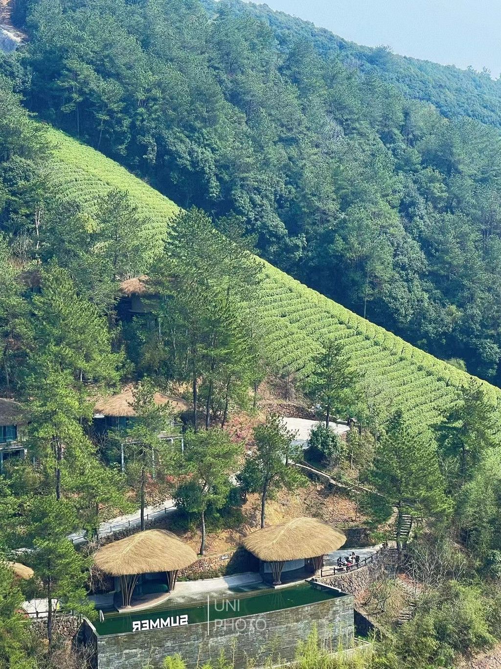 竹海绿意浓,安吉茶山乡,茶山民宿体验带你领略四季之美