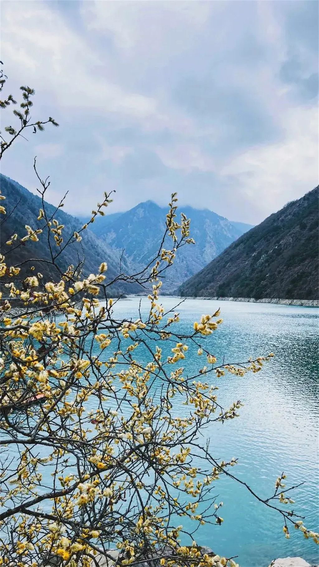 春日松坪沟，一幅四季交替的美丽画卷
