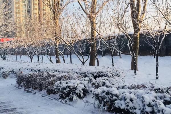 烟台突发暴雪,公交、高速因管制被迫绕行