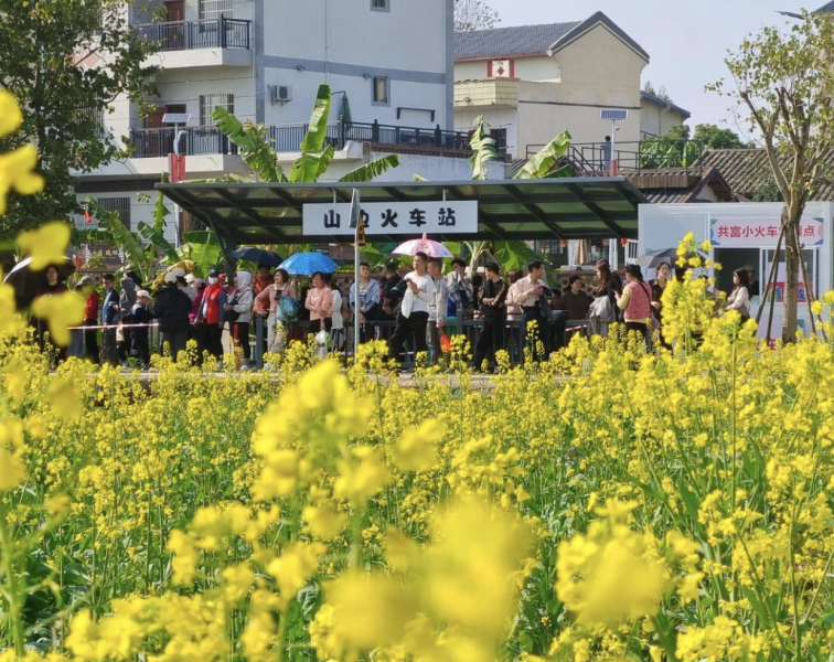 3月踏青深度游-山区村庄的田园风光与超值福利
