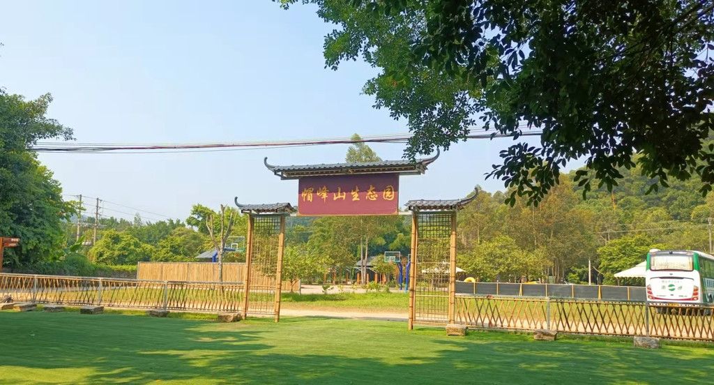广州春日农家乐团一日游，田园生活的快乐旅程
